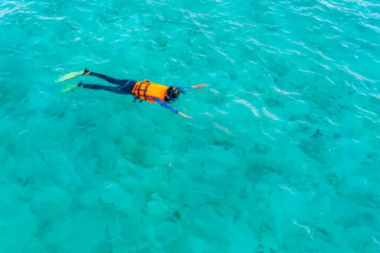 en Cancún puedes disfruta del mar al máximo, practicando snorkel