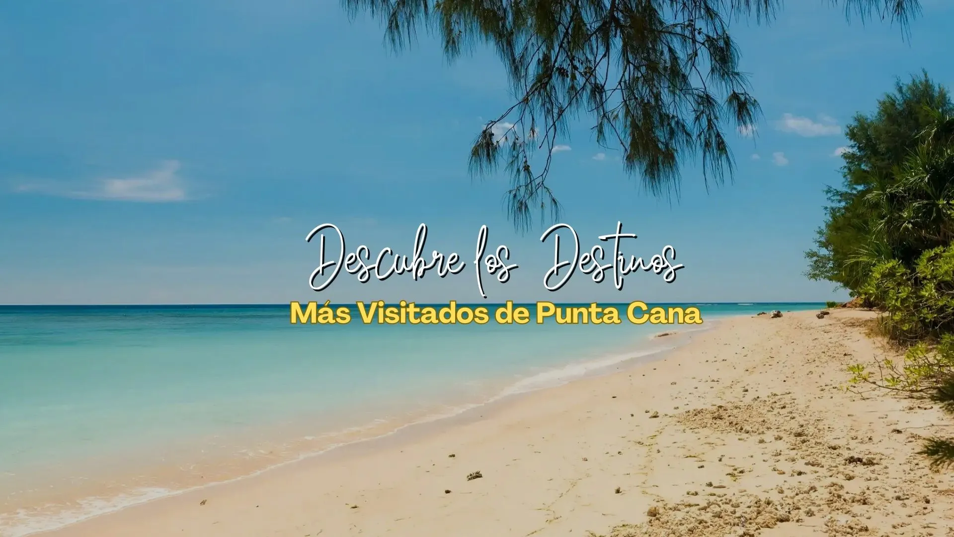 disfruta de unas agradables vacaciones en punta cana donde vas a poder recorrer sus hermosas playas.