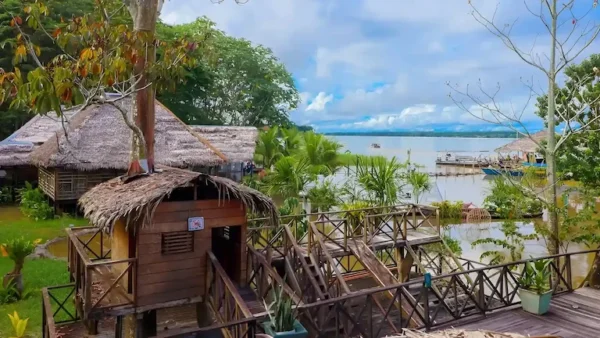 Amazonas