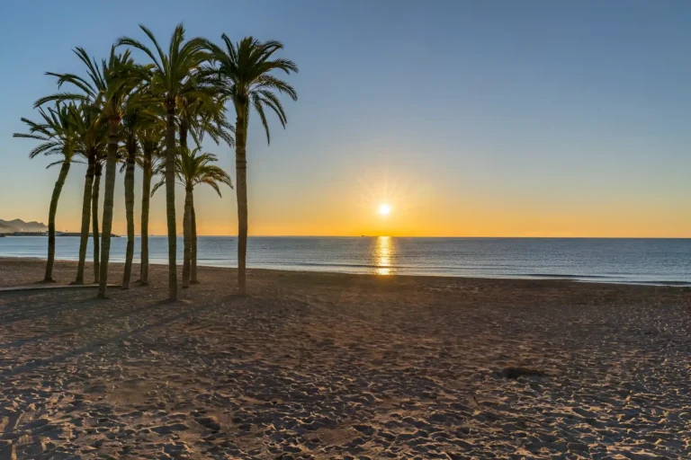 ahora vas a poder disfrutar de unas de las mas hermosas vista en el atardecer de la playa ocata en barcelona.