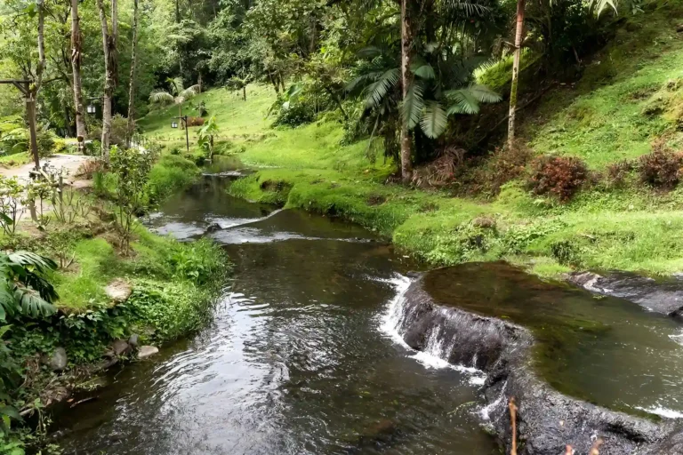 hermosas aguas naturales, unos de los paisajes mas hermoso de santa rosa.