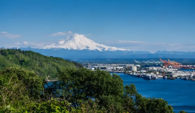 explora el sur de chile, visitando los lagos y los bosques, una aventura que no te puedes perder.