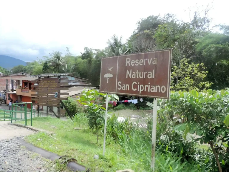 disfruta de la reserva natural de san Cipriano