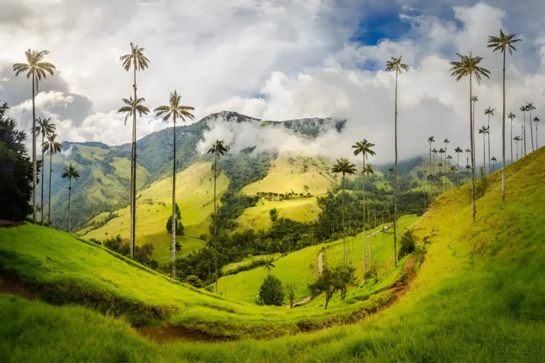 el valle del cócora tiene varios lugares para que puedas disfrutar y tomar fotos de cada uno de esos momentos increíbles en este lugar.